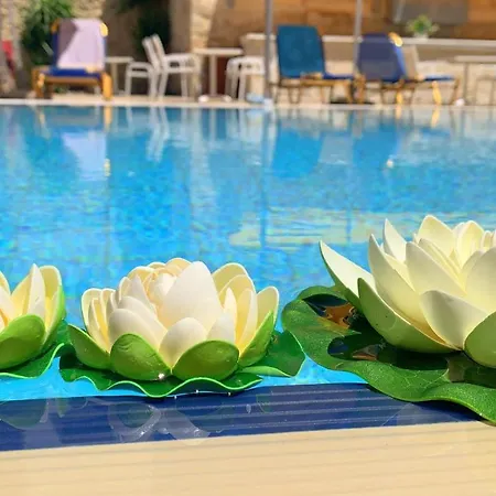 Aparthotel Kassavetis Center - & Hersonissos (Crete)